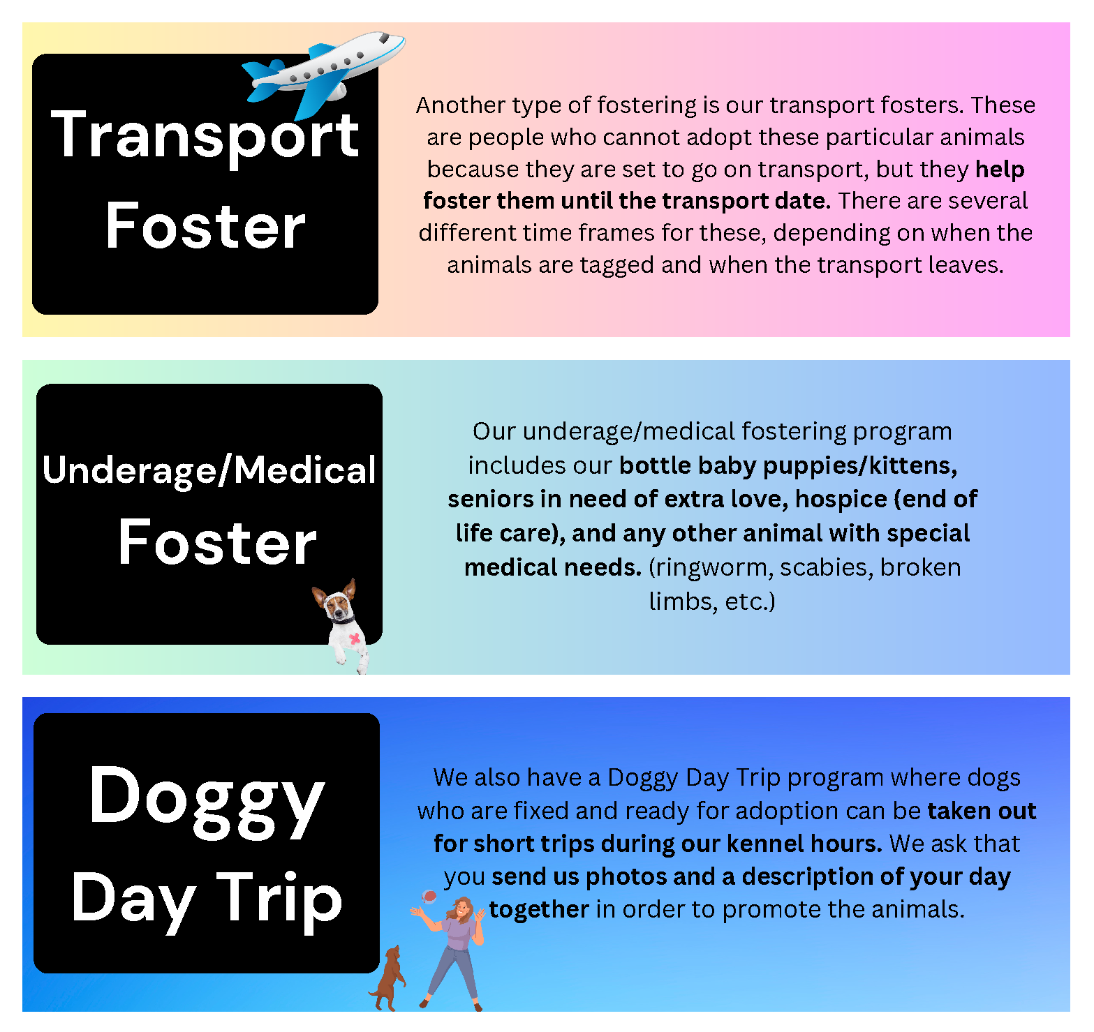 Fort Bend County Animal Services Fostering Programs Page 2