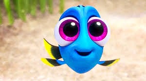 Baby Dory
