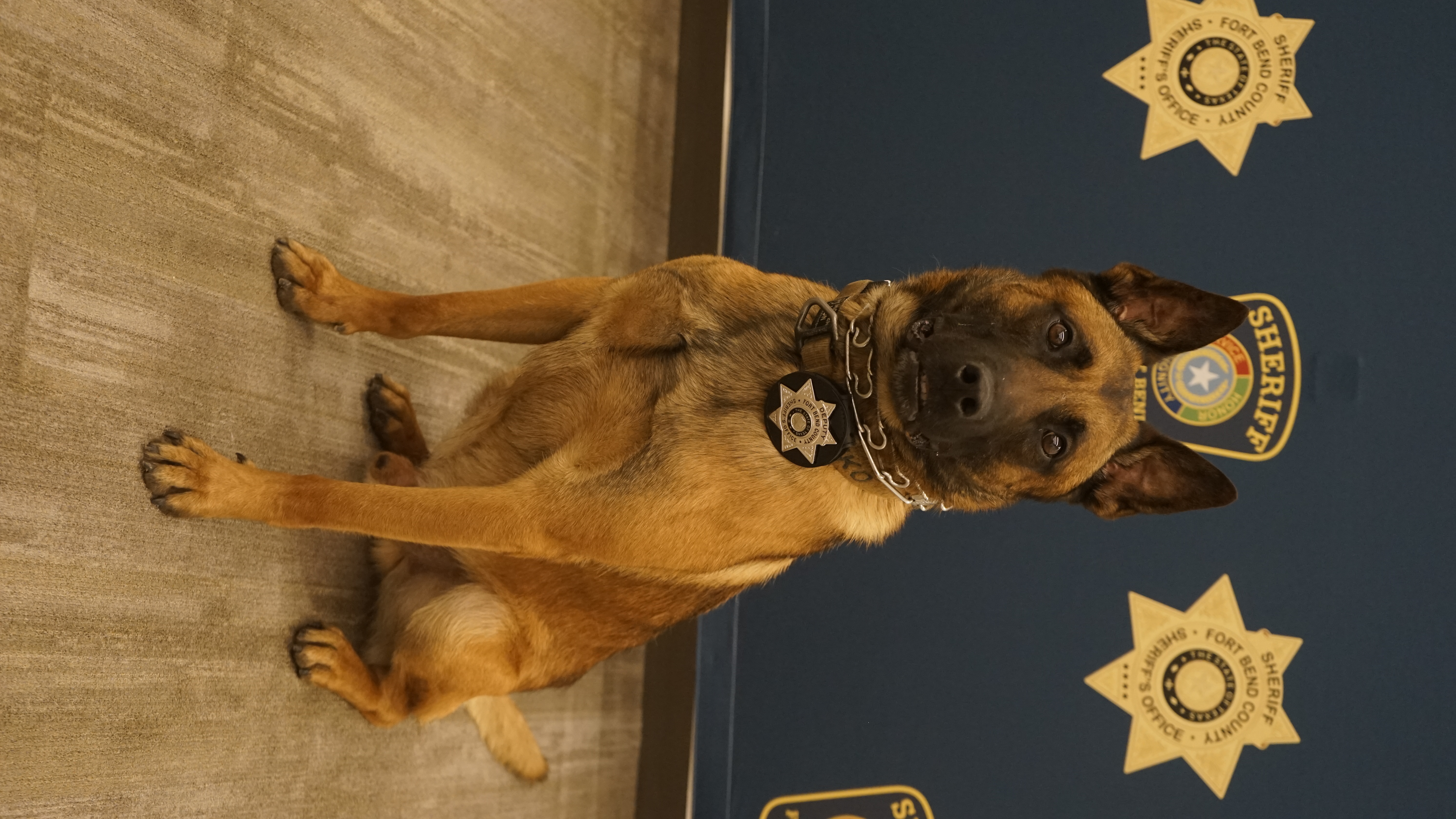 FBCSO K-9