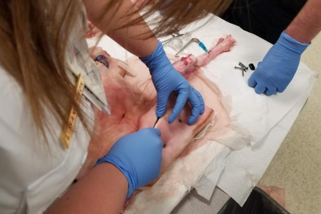 Surgical Airway Training