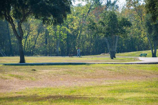 Kitty Hollow Park